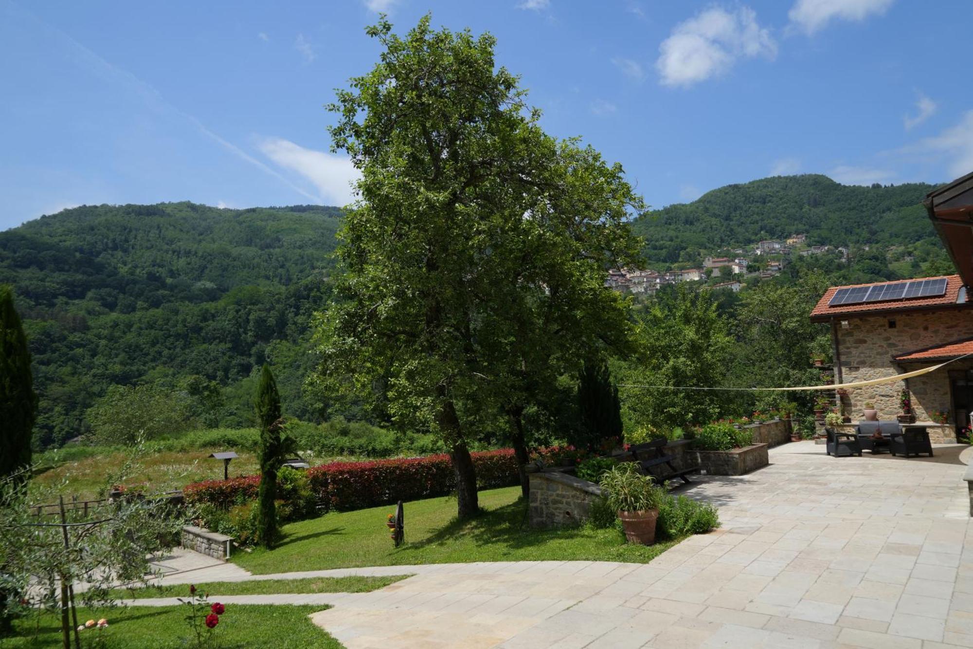 Il Paradiso Delle Beccacce Popiglio Eksteriør billede